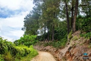 paisaje vuelta de jorco