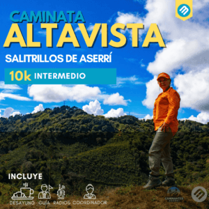 Altavista (7)-min