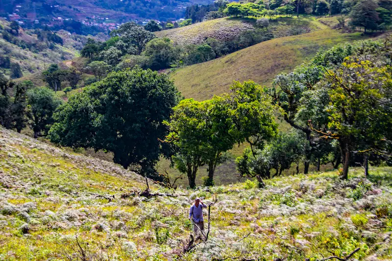 Alto Quebradilla_25