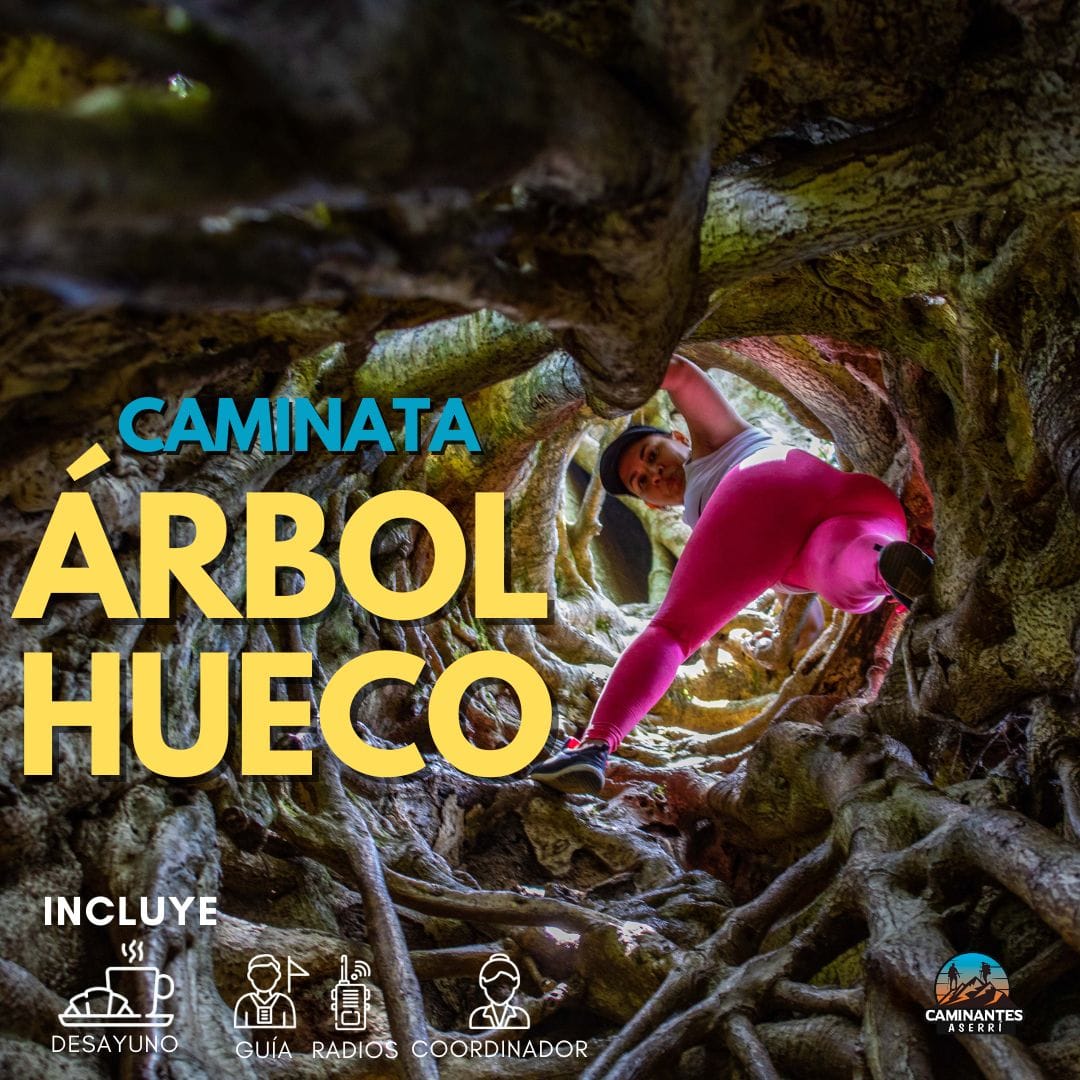Árbol Hueco Jericó
