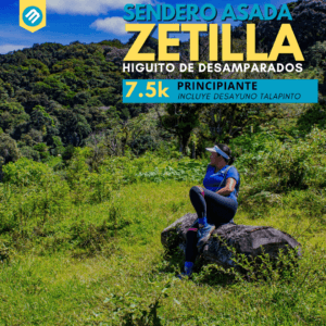Asada Zetilla