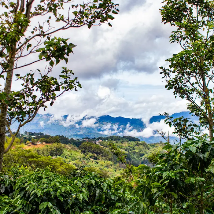Vista panorámica de las montañas nubosas de Cartago durante la expedición a Copalchí Vertical