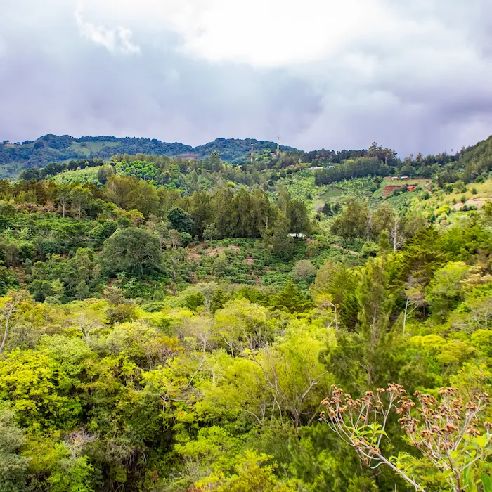 "Paisaje montañoso con vegetación diversa y nubes bajas en el entorno de Copalchí."