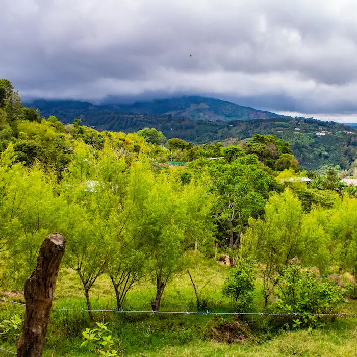 "Vegetación de montaña bajo un cielo nublado durante la expedición en Copalchí."