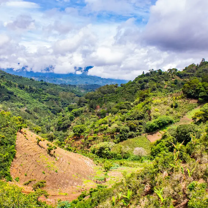 "Vista panorámica de colinas y cultivos en la zona montañosa durante la ruta Copalchí Vertical."