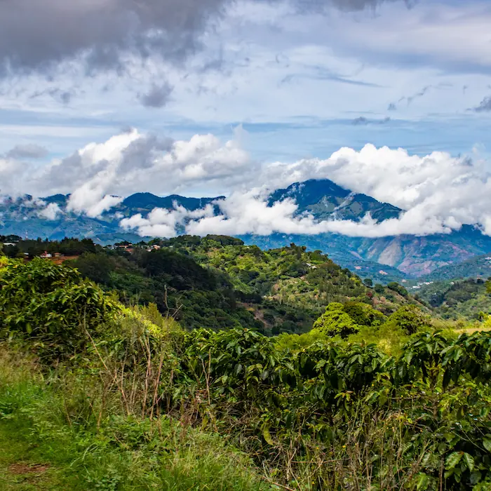 "Vista panorámica de las montañas y formaciones nubosas durante la expedición a Copalchí Vertical."