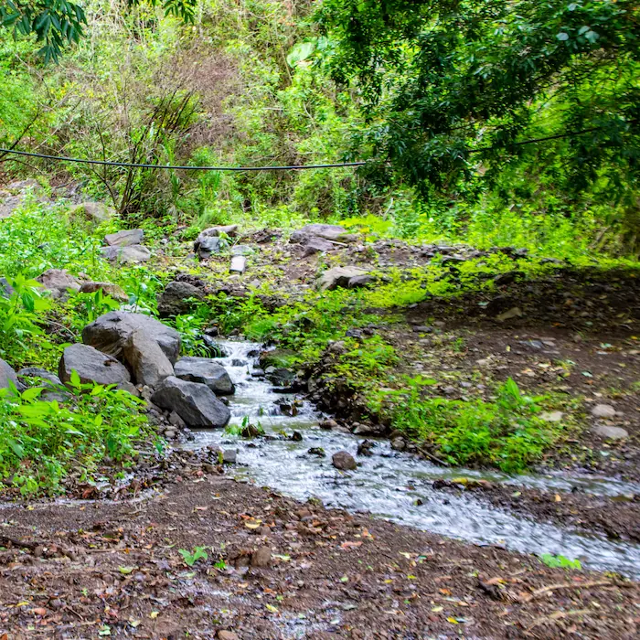 "Cruce por el Río Conejo rodeado de naturaleza en la ruta de senderismo Copalchí Vertical."