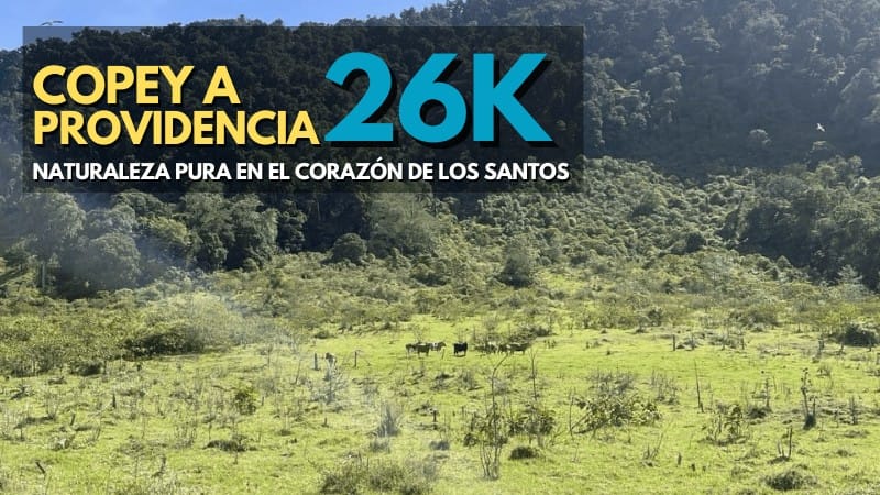 Copey a Providencia 26k