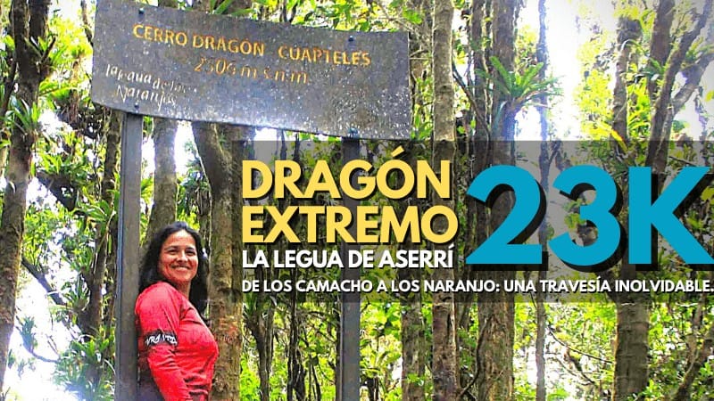Dragón Extremo 23k