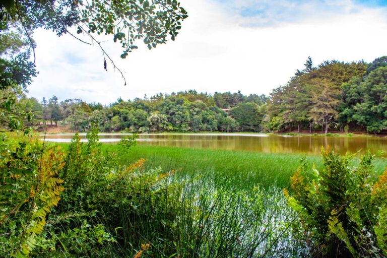 Laguna Don Manuel_63