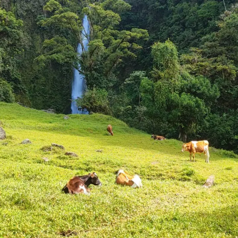 Santa Cruz de Turrialba - Caminantes Acserí