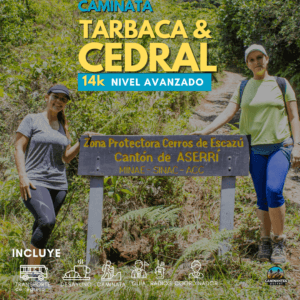 Tarbaca & Cedral (4)-min