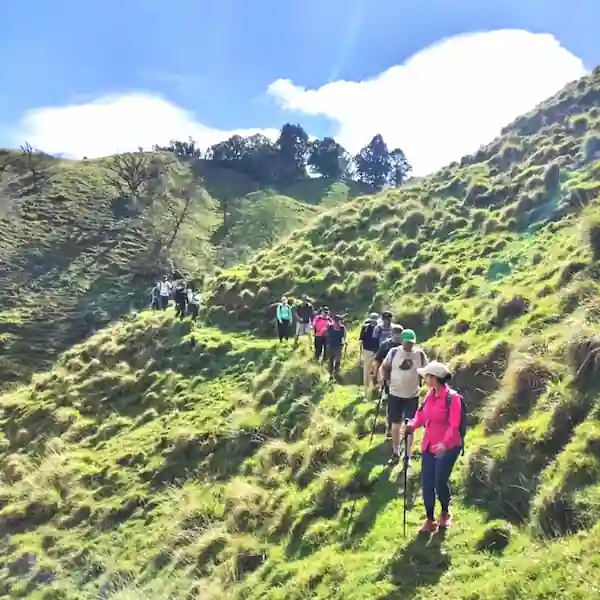 Colina Verde