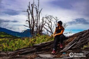 bosque quemado_10-min