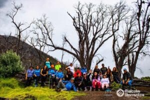 bosque quemado_11-min
