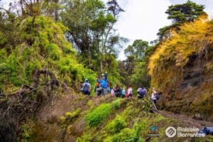 bosque quemado_4-min