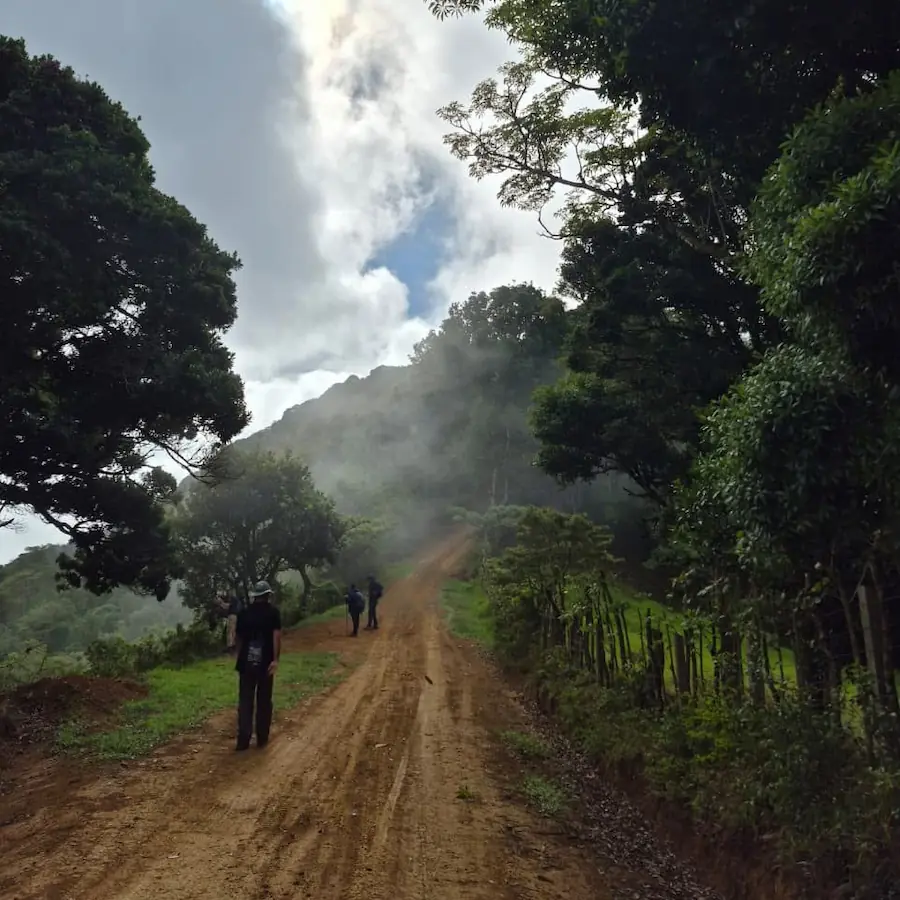 Camino de tierra en ascenso rodeado de niebla en Aserrí