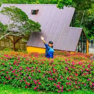 Los jardines de chinas