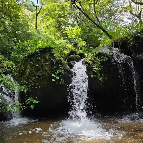 Catarata