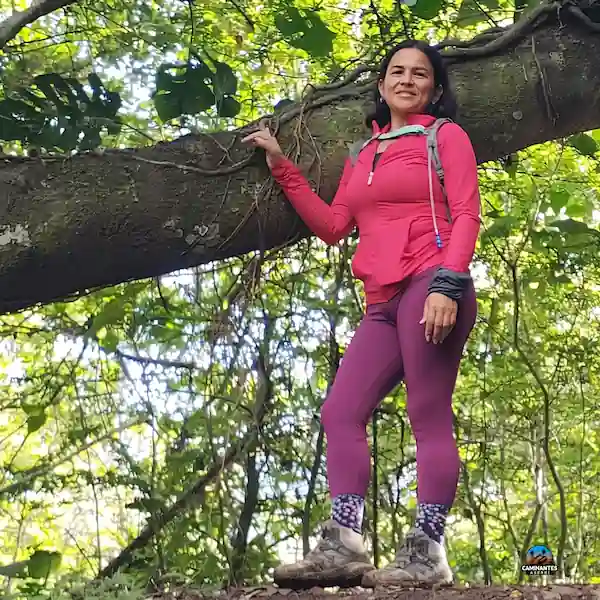Descanso en el Árbol