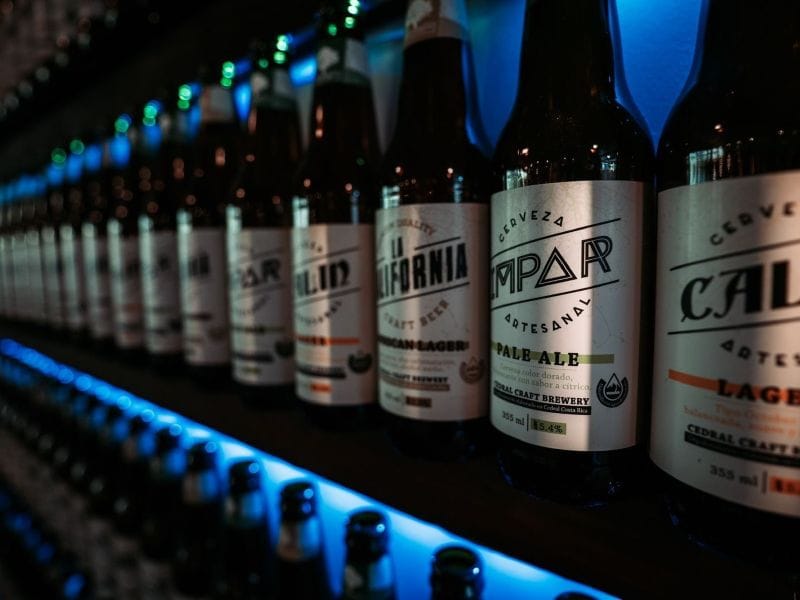 Entre pinos y cerveza