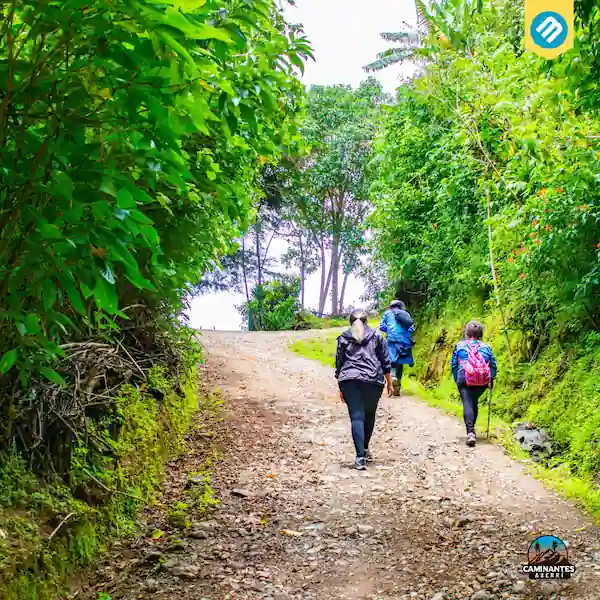 Excursionistas en sendero verde