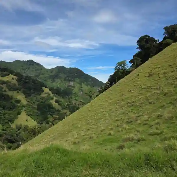 Montañas Verdes