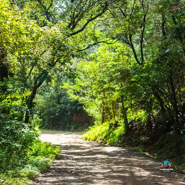 Sendero