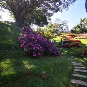 tour capilla amber_1