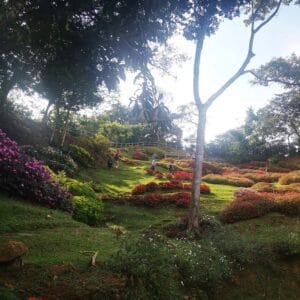 tour capilla amber_2