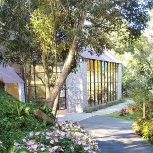 tour capilla amber_3