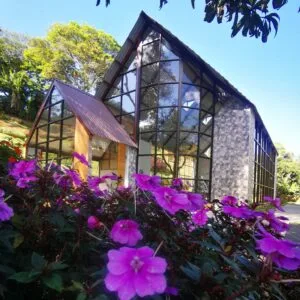 tour capilla amber_7