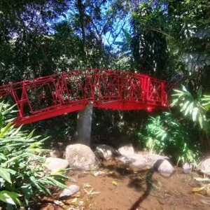 tour capilla amber_9