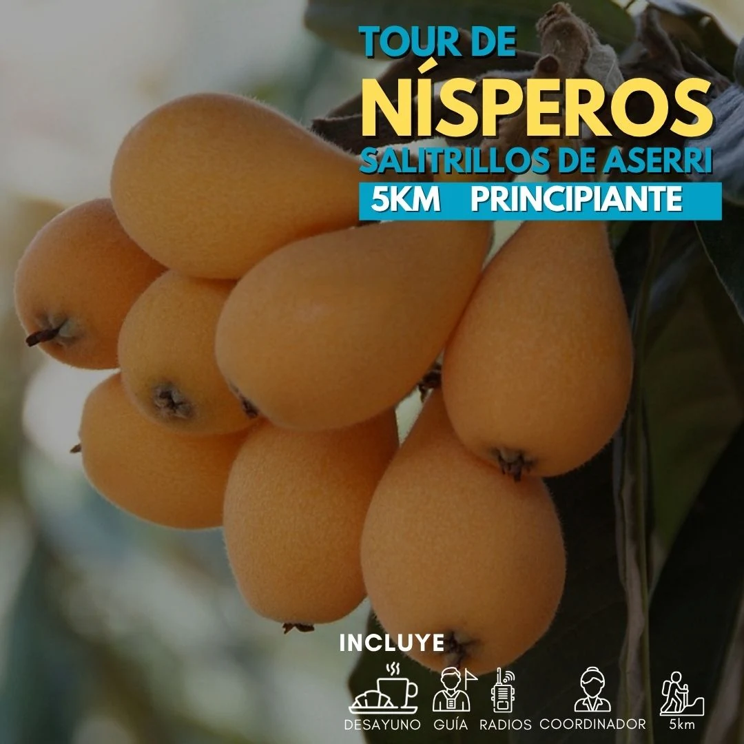 Caminantes Acserí Tour de Nísperos